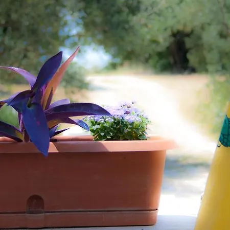 15748d アパート ポダツァ