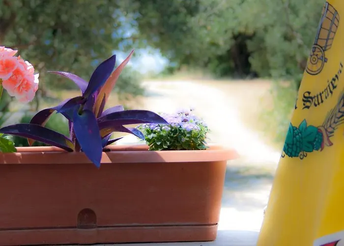 15748d Apartman Podaca